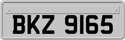 BKZ9165