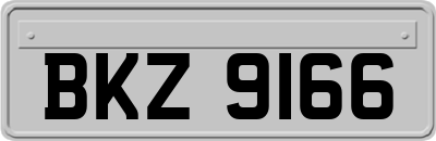 BKZ9166