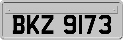 BKZ9173
