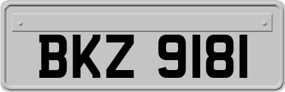 BKZ9181