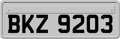 BKZ9203