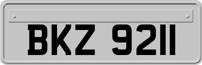 BKZ9211