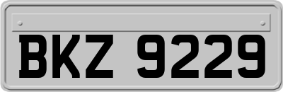 BKZ9229