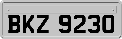 BKZ9230