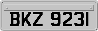 BKZ9231