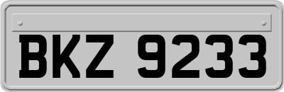 BKZ9233