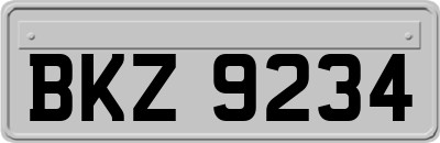 BKZ9234
