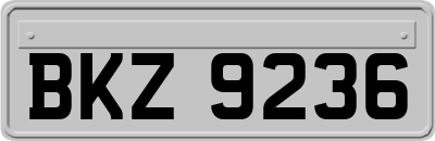 BKZ9236