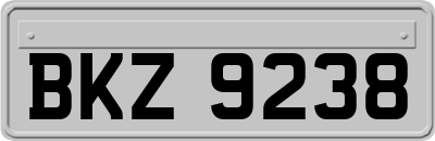 BKZ9238