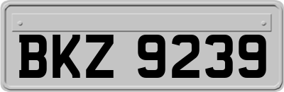 BKZ9239