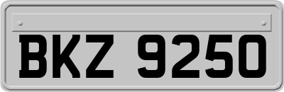 BKZ9250