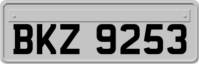 BKZ9253