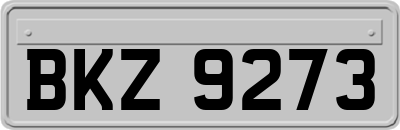 BKZ9273
