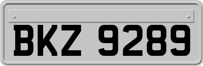 BKZ9289