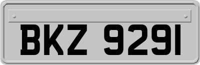 BKZ9291