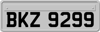 BKZ9299