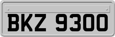 BKZ9300