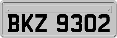 BKZ9302