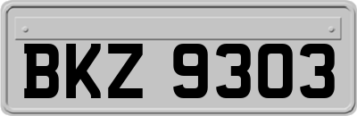 BKZ9303