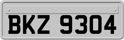 BKZ9304
