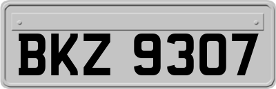 BKZ9307