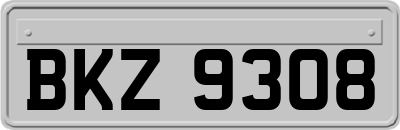 BKZ9308