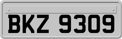 BKZ9309