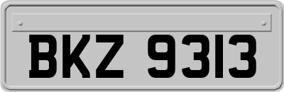 BKZ9313