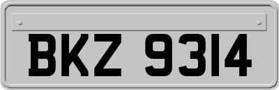 BKZ9314