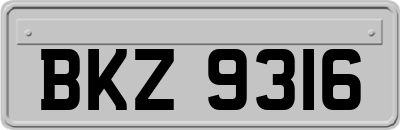 BKZ9316