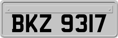 BKZ9317