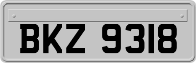 BKZ9318