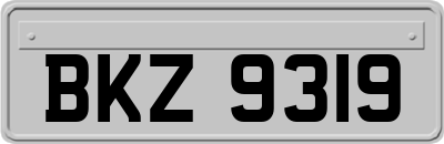 BKZ9319