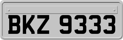 BKZ9333