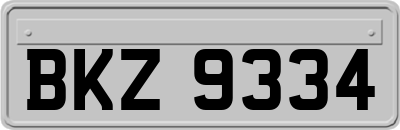 BKZ9334