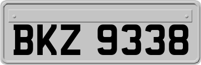 BKZ9338