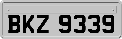 BKZ9339