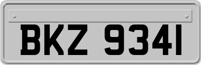 BKZ9341