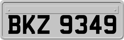 BKZ9349