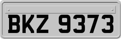 BKZ9373