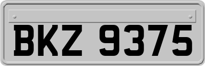 BKZ9375