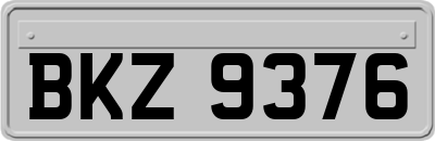 BKZ9376