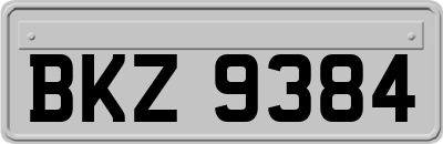 BKZ9384