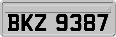 BKZ9387