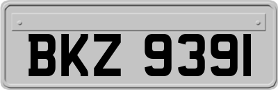 BKZ9391