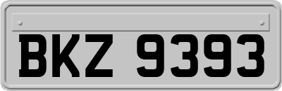 BKZ9393
