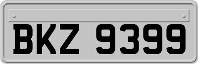 BKZ9399