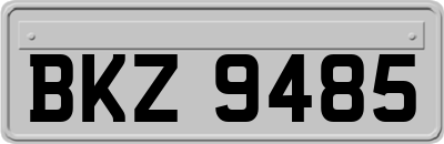 BKZ9485