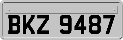 BKZ9487