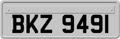 BKZ9491